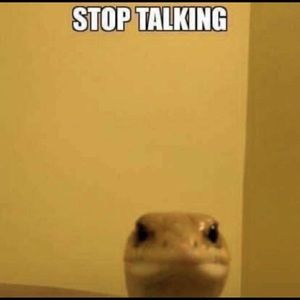 Meet your Posher, Cade